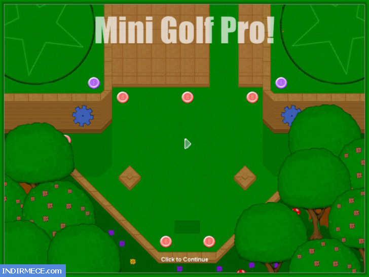 Mini Golf Pro
